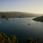 Rosinha Vale de Cambra