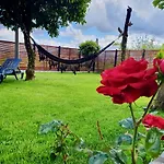 Rosinha Vale de Cambra