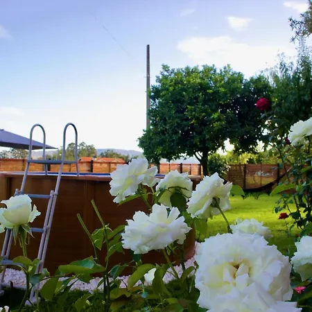 بيت للعطل Rosinha