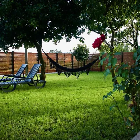 Сasa de vacaciones Rosinha Vale de Cambra