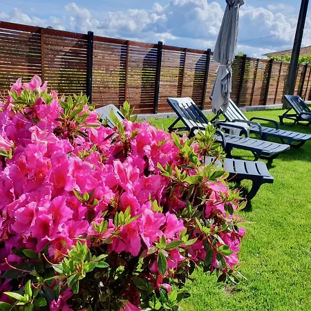 Rosinha Holiday home Vale de Cambra