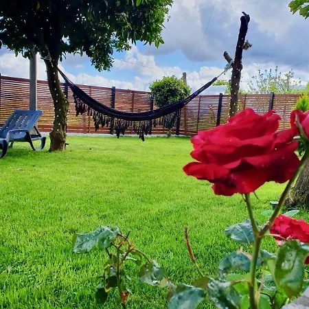 Rosinha فالي دي كامبرا