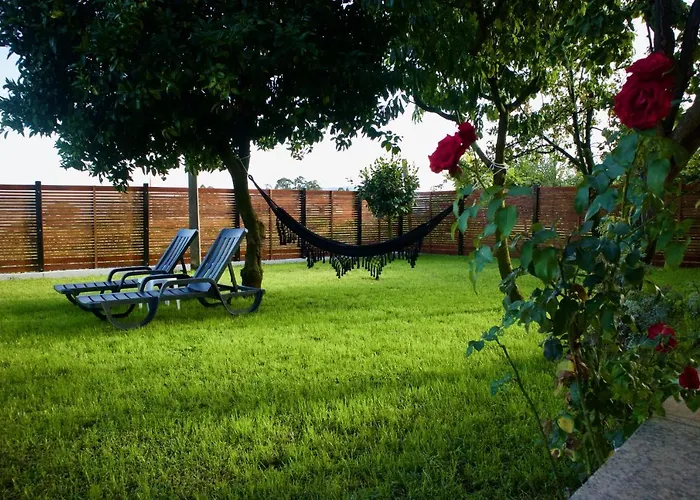 Hébergement de vacances Rosinha Vale de Cambra