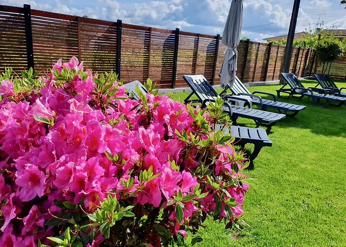 Rosinha Hébergement de vacances Vale de Cambra