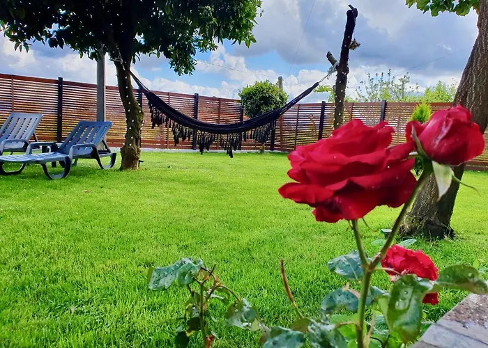 Rosinha Vale de Cambra