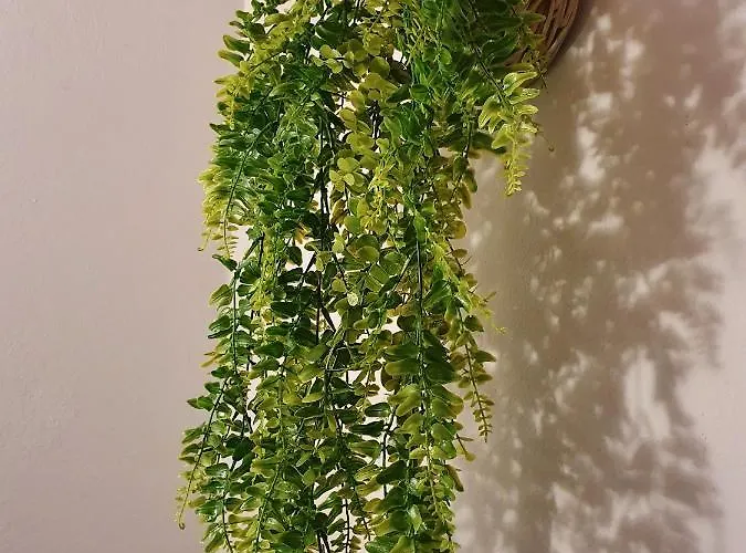 Hébergement de vacances Rosinha *