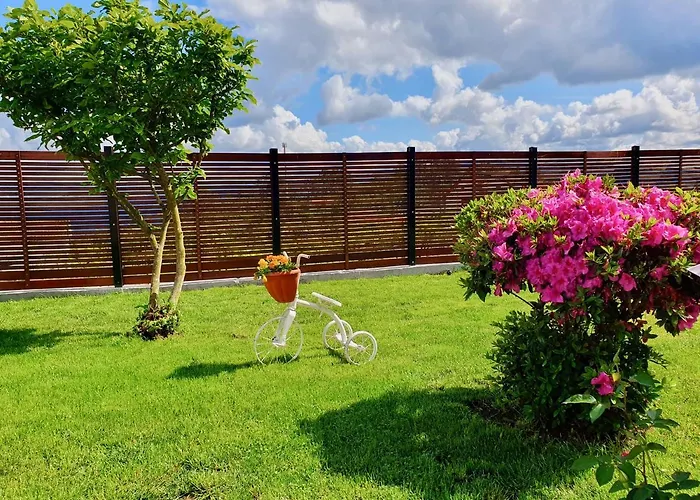 Hébergement de vacances Rosinha